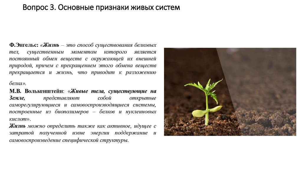 Вопрос 3. Основные признаки живых систем