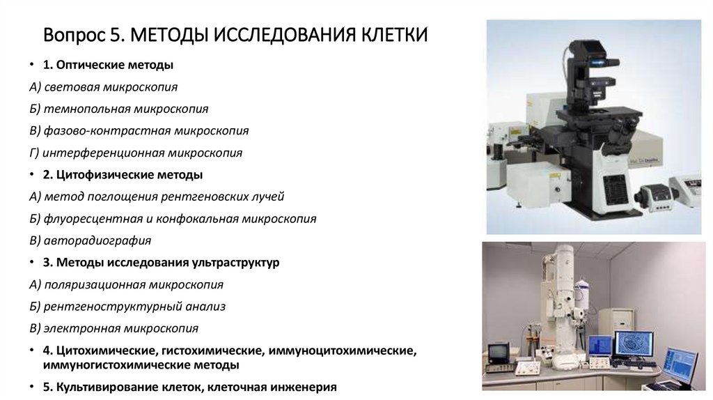 Вопрос 5. МЕТОДЫ ИССЛЕДОВАНИЯ КЛЕТКИ