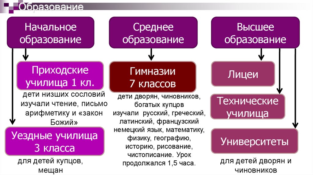 Образование