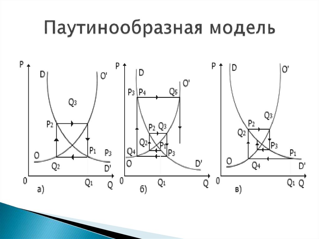 Паутинообразная модель