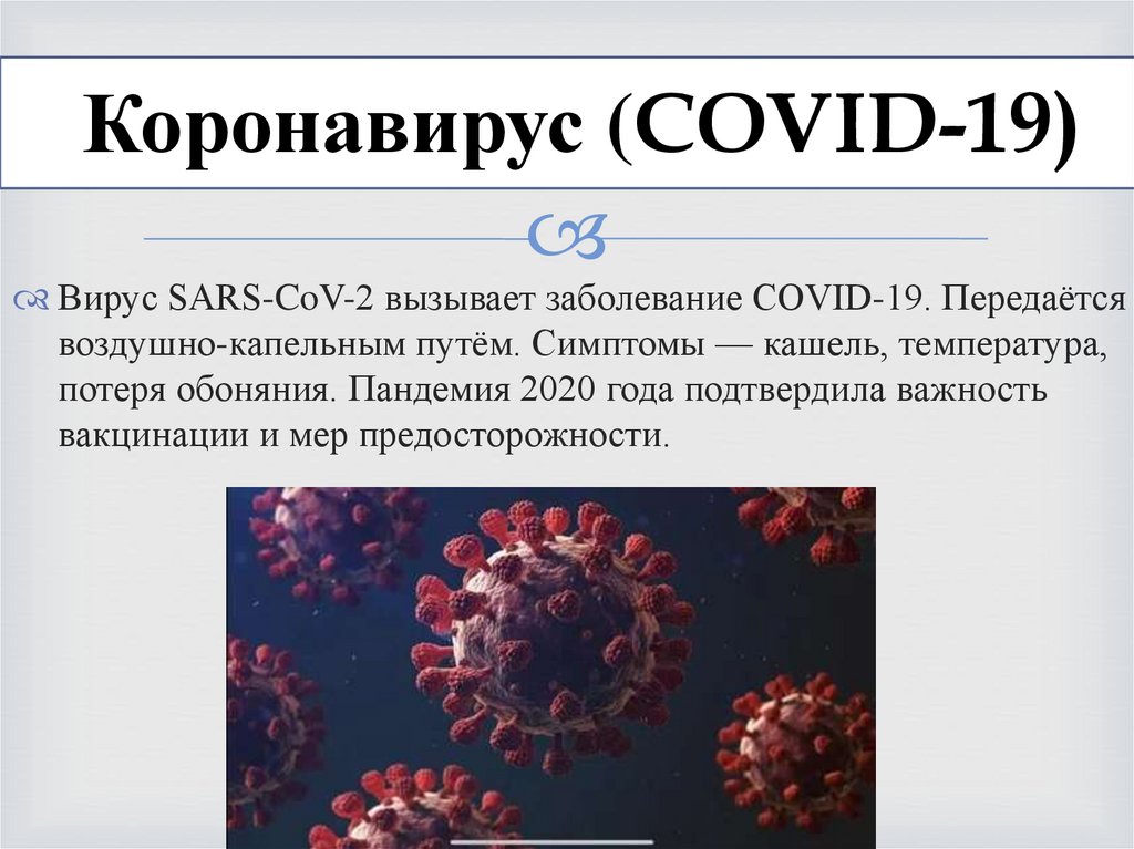  Коронавирус (COVID-19)