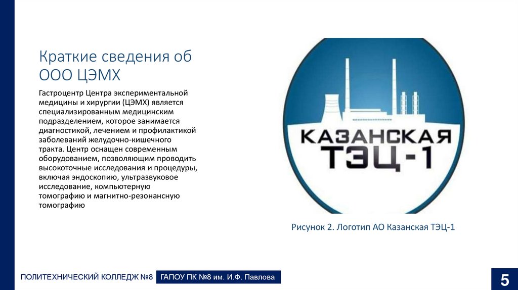 Краткие сведения об ООО ЦЭМХ