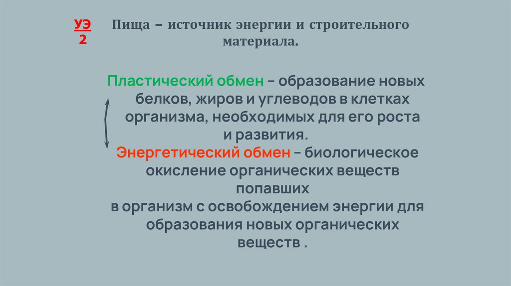 Пища – источник энергии и строительного материала.