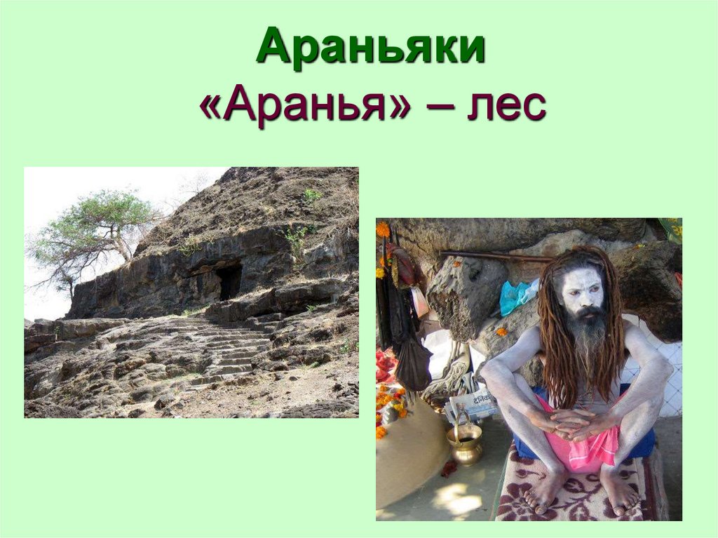 Араньяки «Аранья» – лес