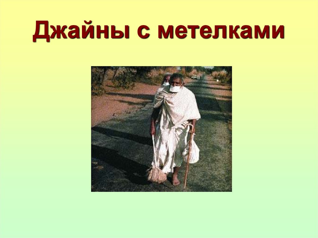 Джайны с метелками