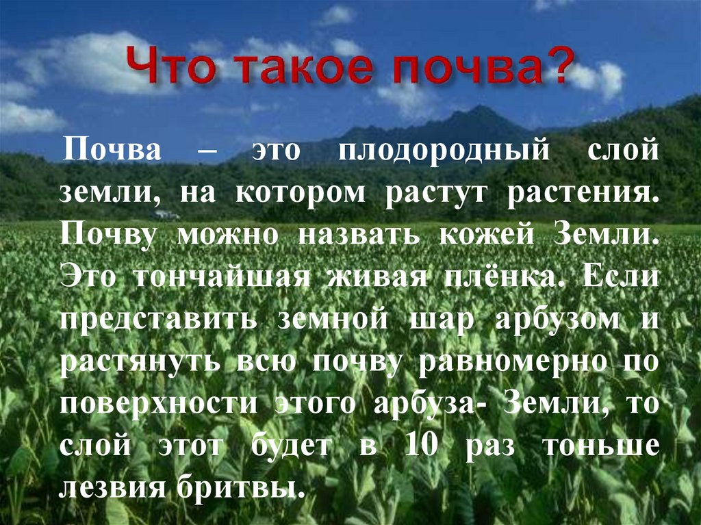 Что такое почва?