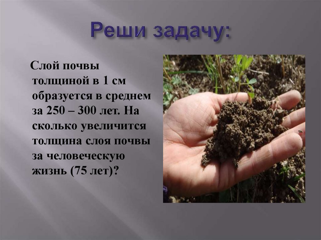 Реши задачу: