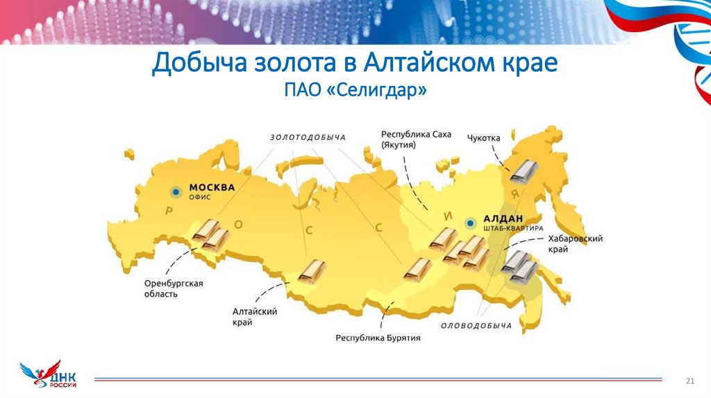 Добыча золота в Алтайском крае ПАО «Селигдар»