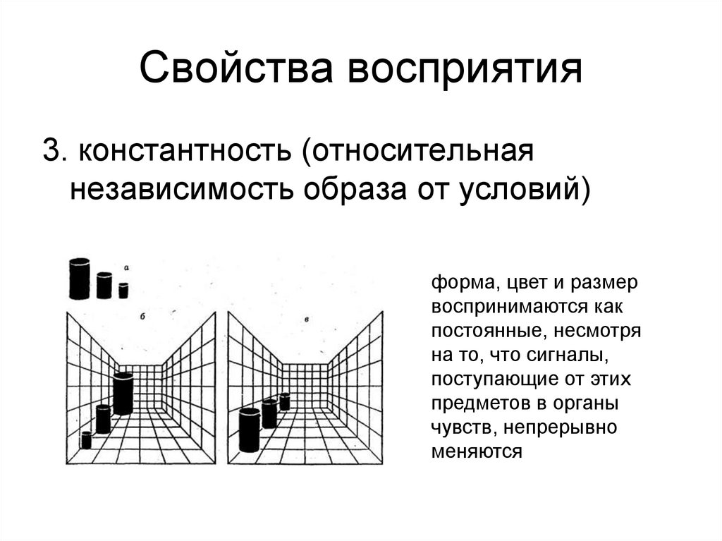 Свойства восприятия