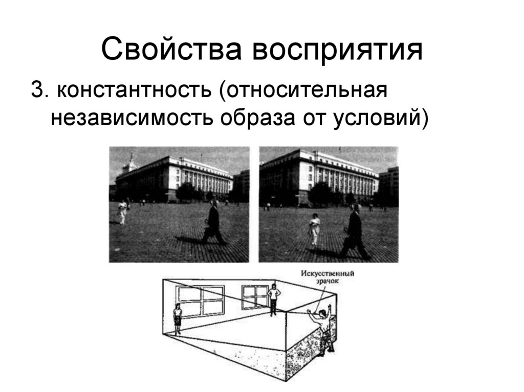 Свойства восприятия