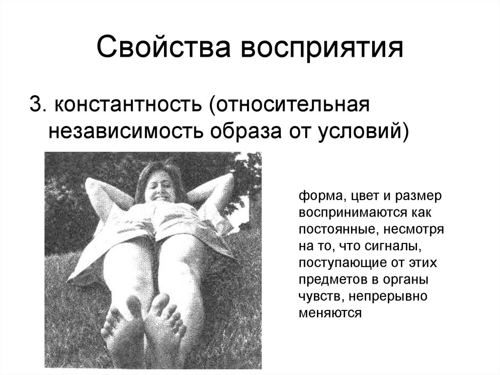 Свойства восприятия