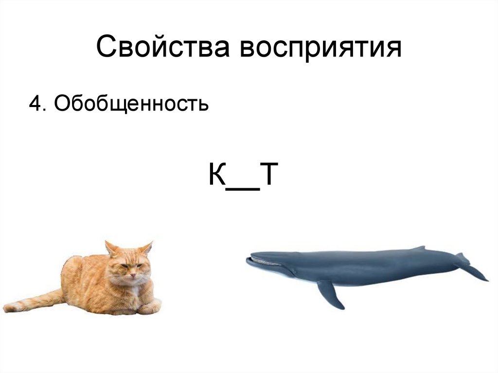 Свойства восприятия