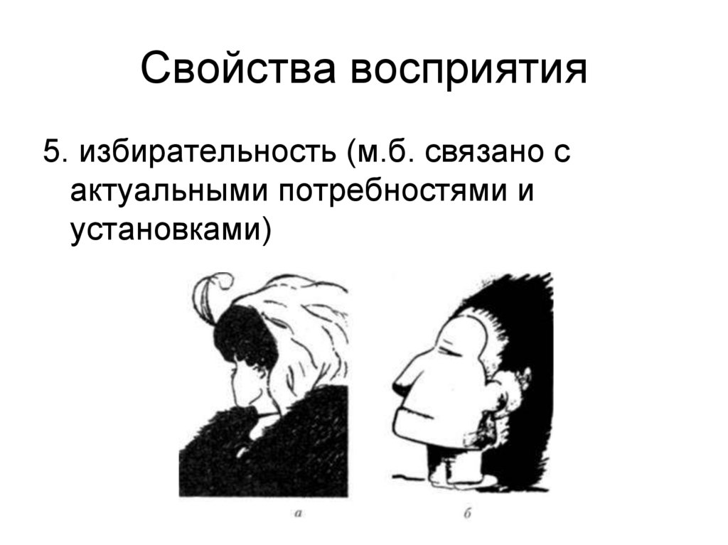 Свойства восприятия