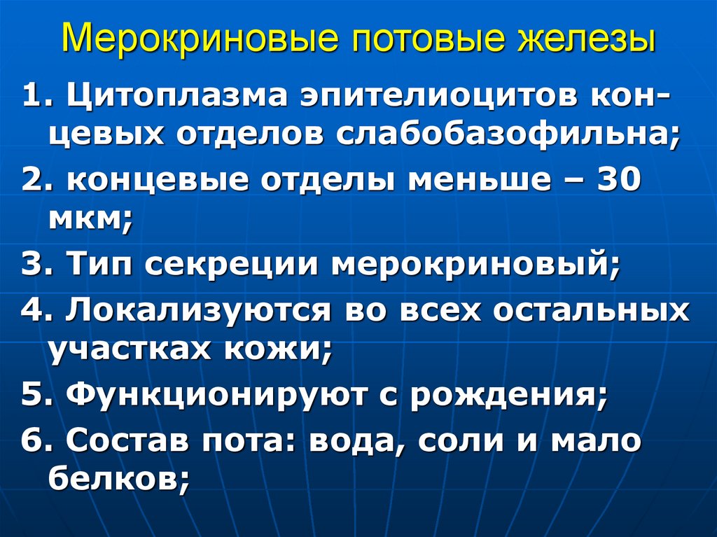 Мерокриновые потовые железы