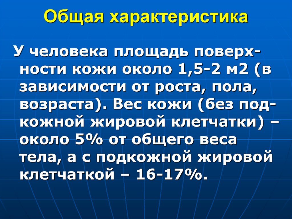 Общая характеристика