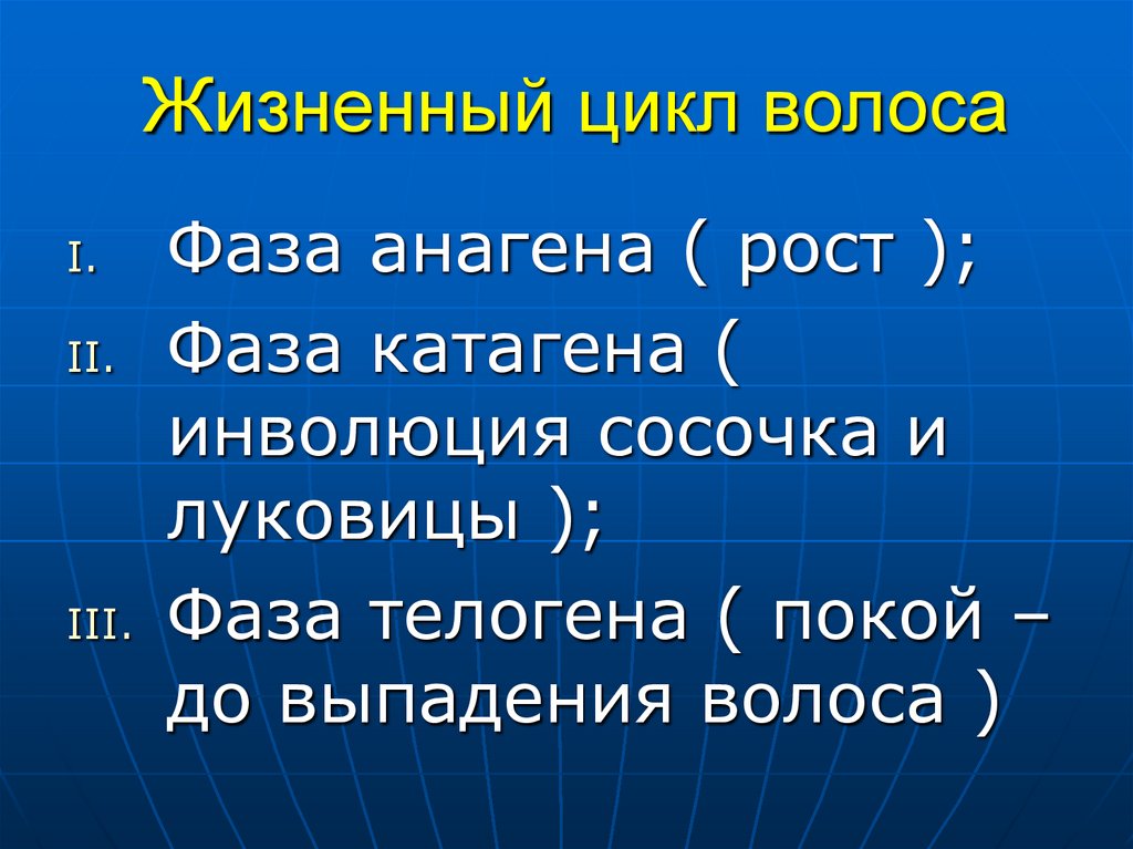 Жизненный цикл волоса