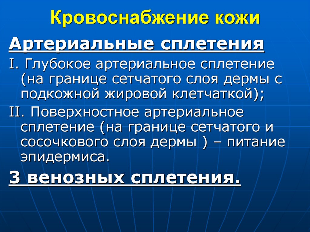 Кровоснабжение кожи