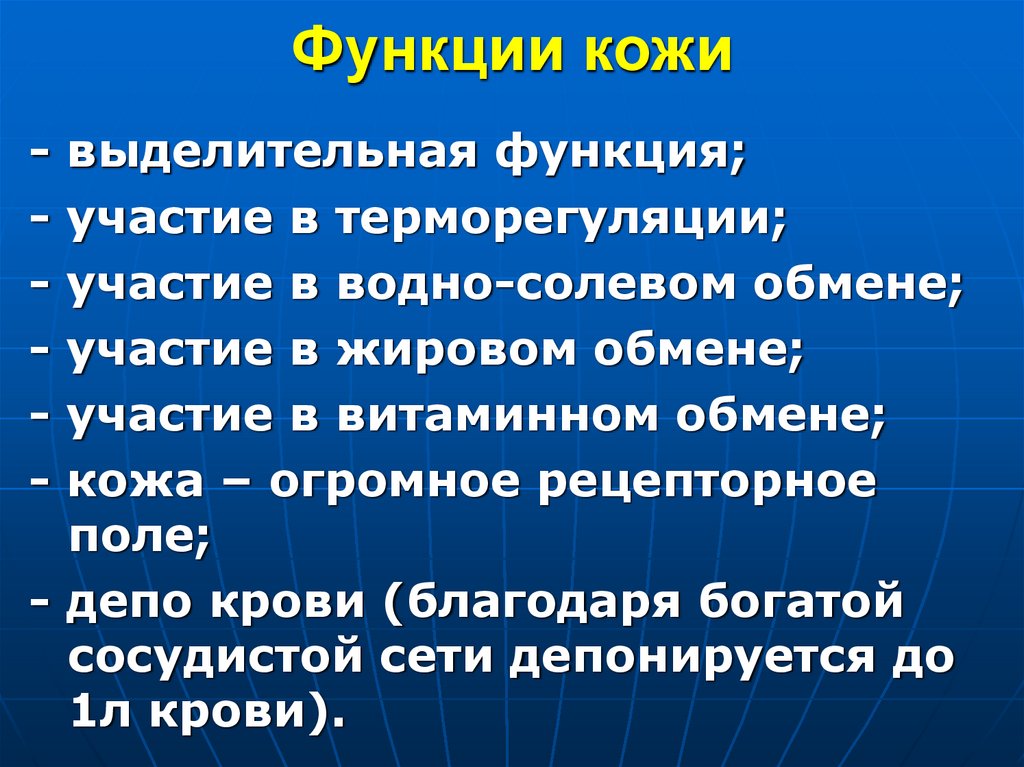Функции кожи