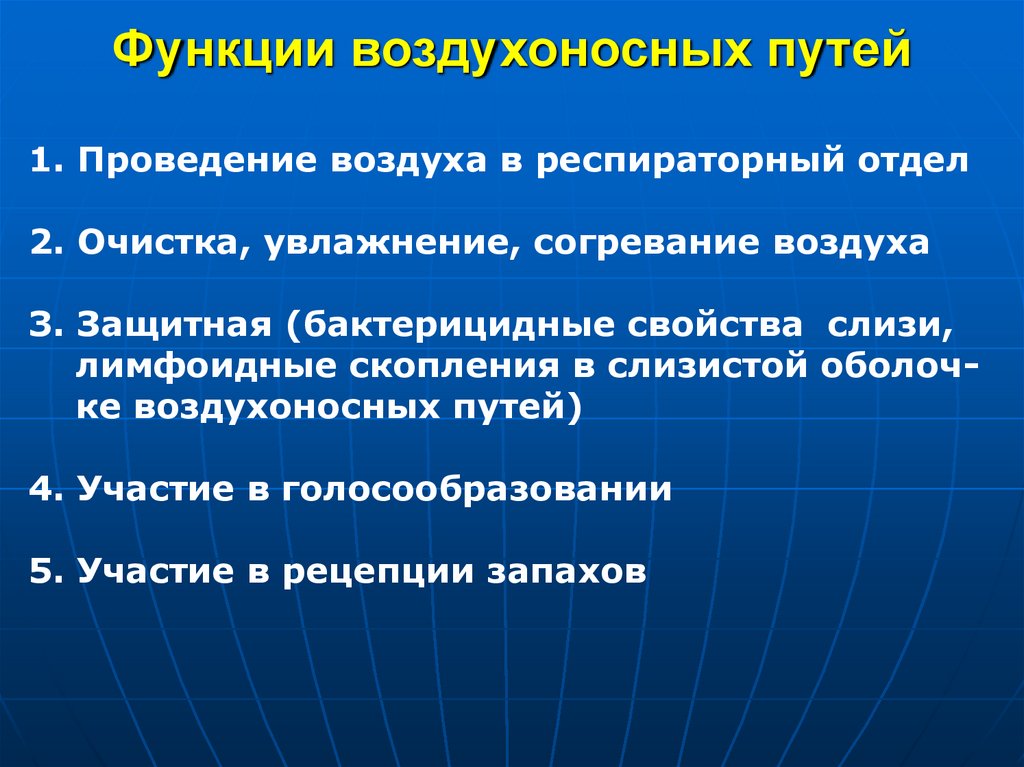 Функции воздухоносных путей