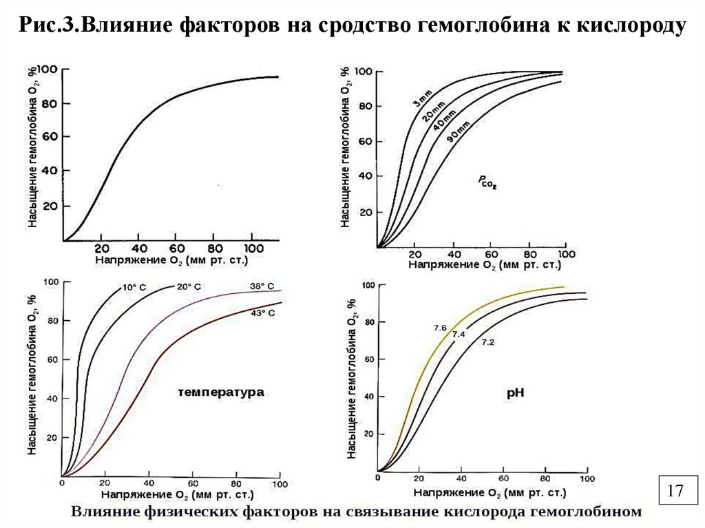 Рис.3.Влияние факторов на сродство гемоглобина к кислороду