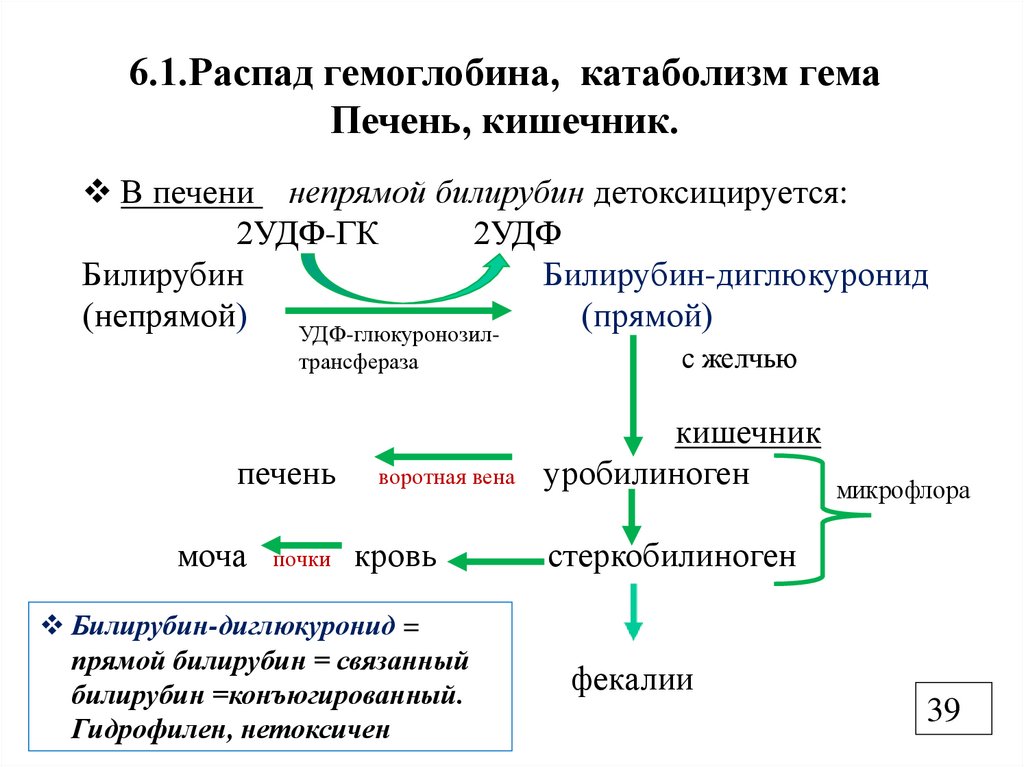 6.1.Распад гемоглобина, катаболизм гема Печень, кишечник.