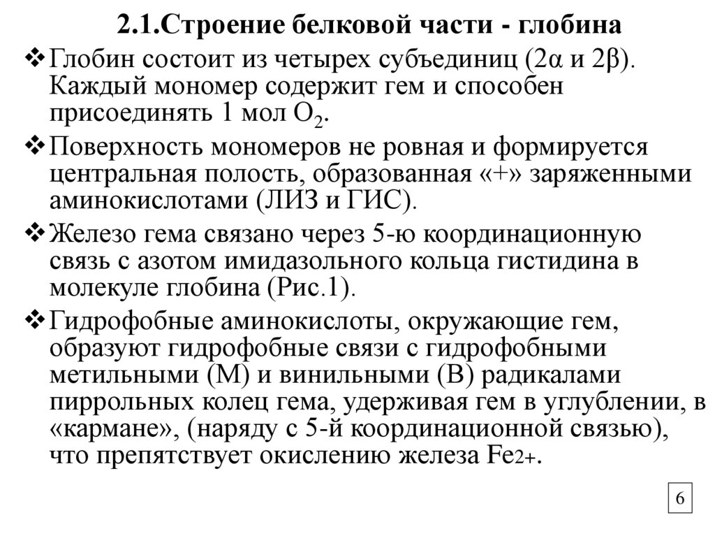2.1.Строение белковой части - глобина