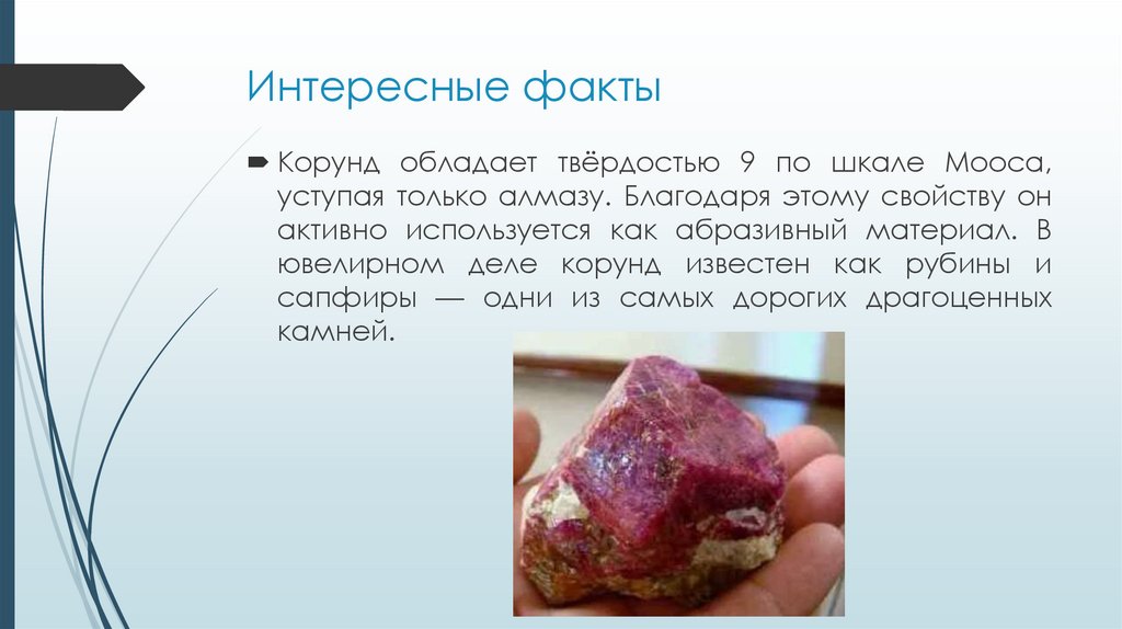 Интересные факты