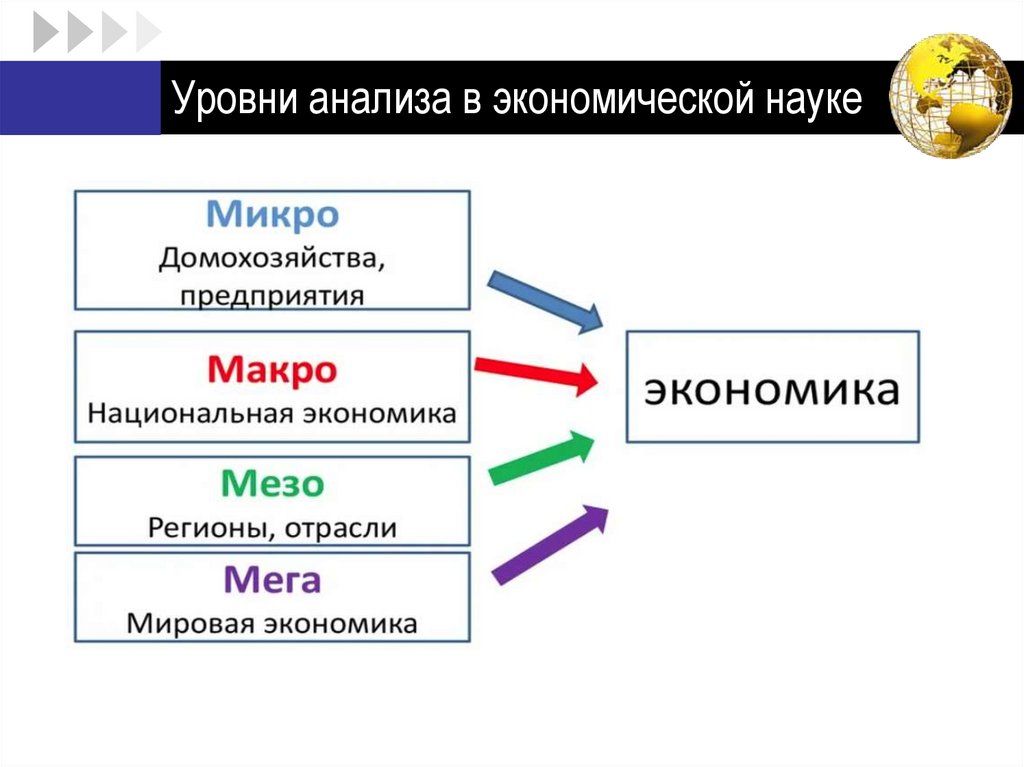 Уровни анализа в экономической науке