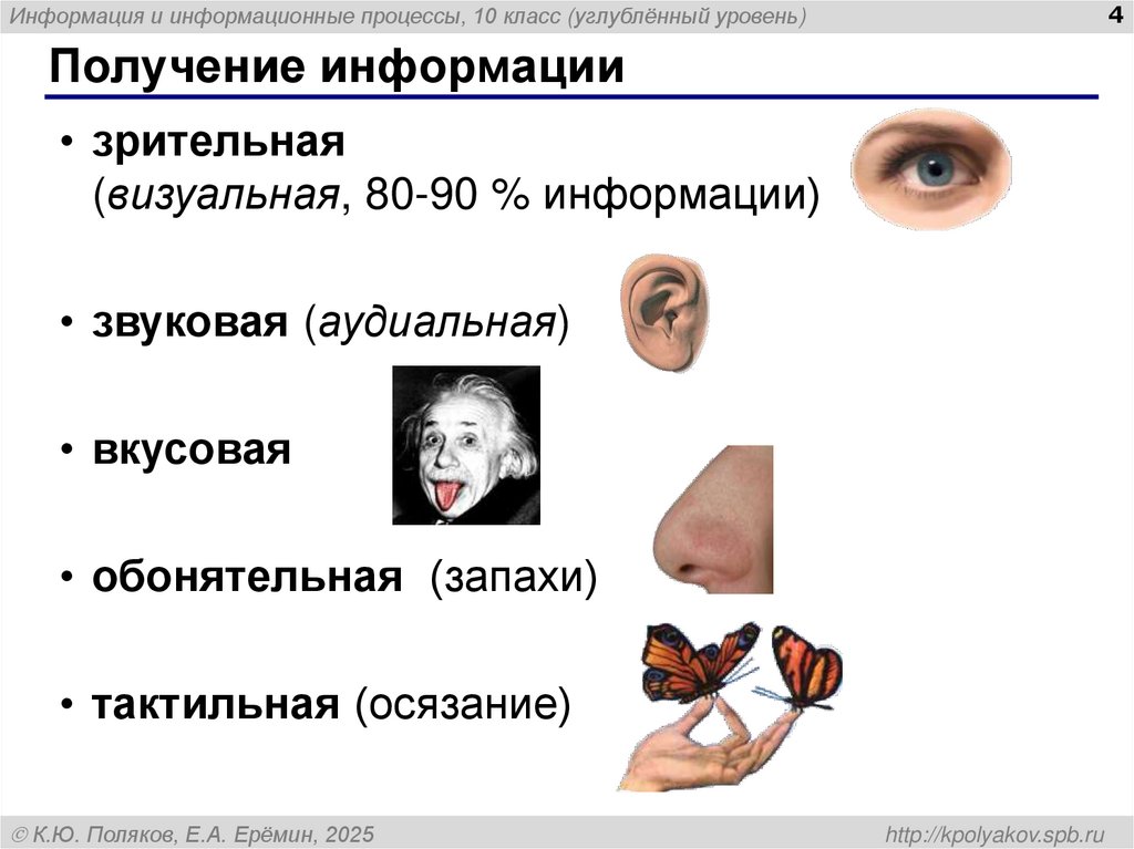 Получение информации