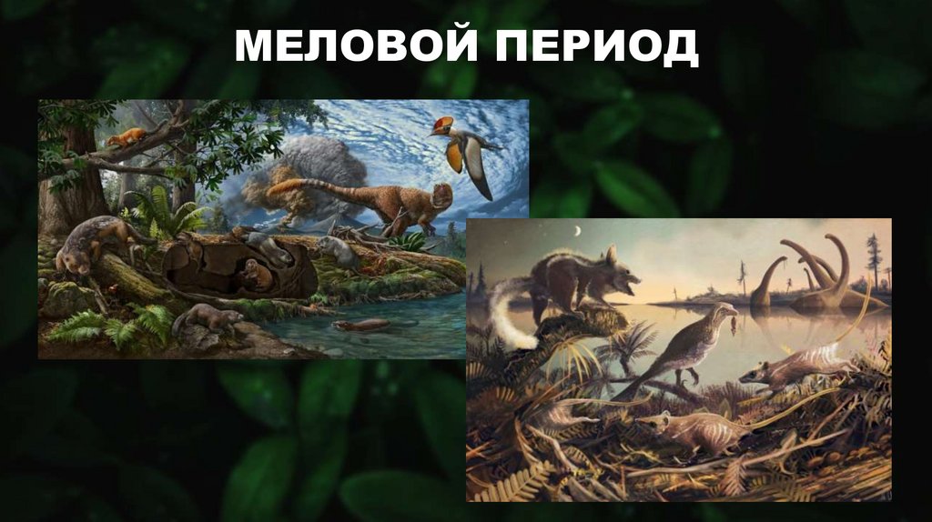 МЕЛОВОЙ ПЕРИОД