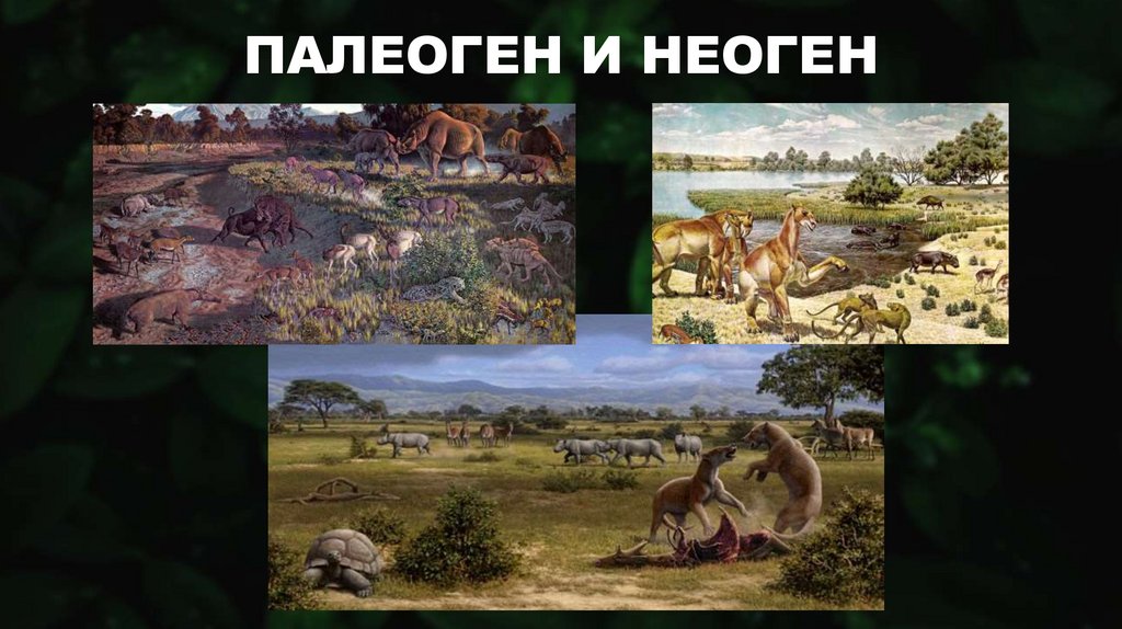 ПАЛЕОГЕН И НЕОГЕН