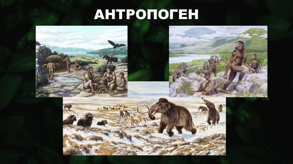 АНТРОПОГЕН