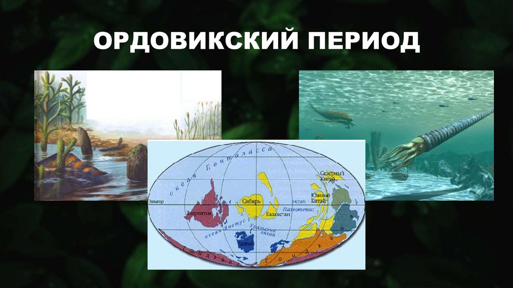 ОРДОВИКСКИЙ ПЕРИОД