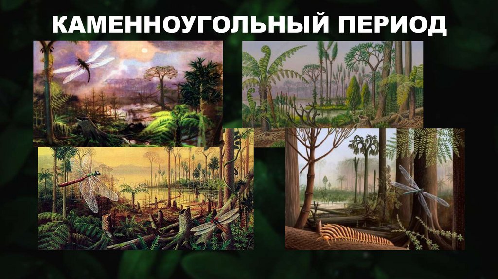КАМЕННОУГОЛЬНЫЙ ПЕРИОД