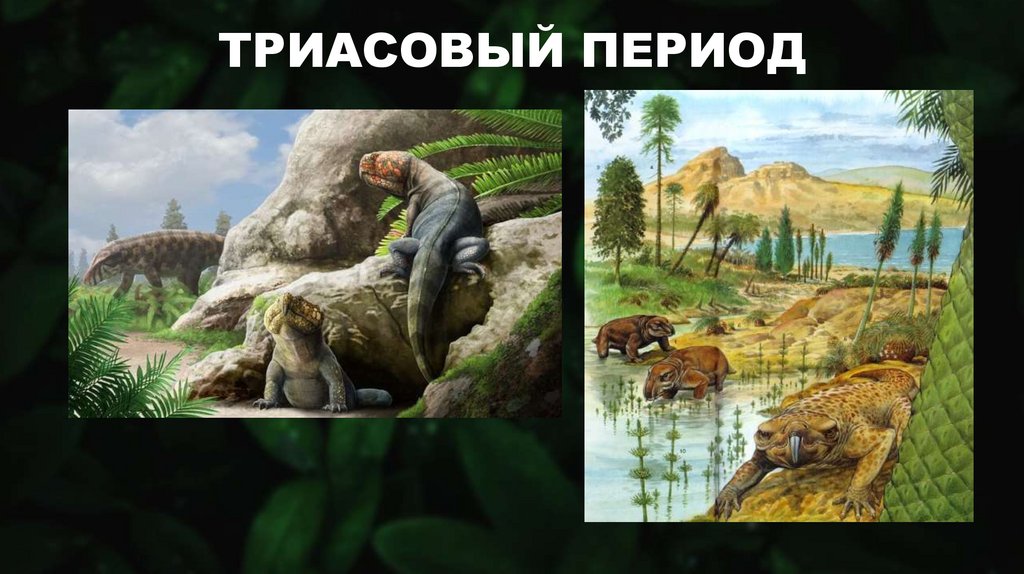 ТРИАСОВЫЙ ПЕРИОД