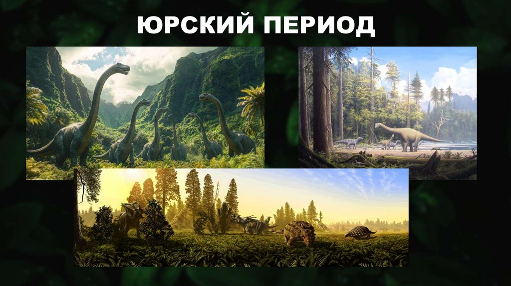 ЮРСКИЙ ПЕРИОД