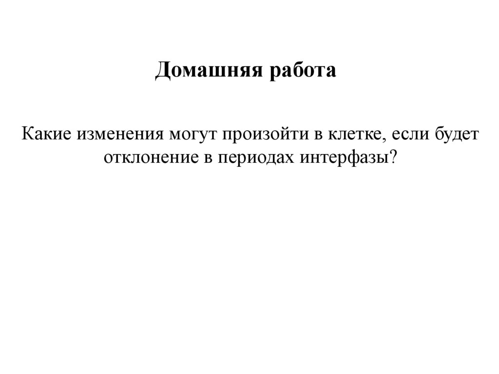 Домашняя работа