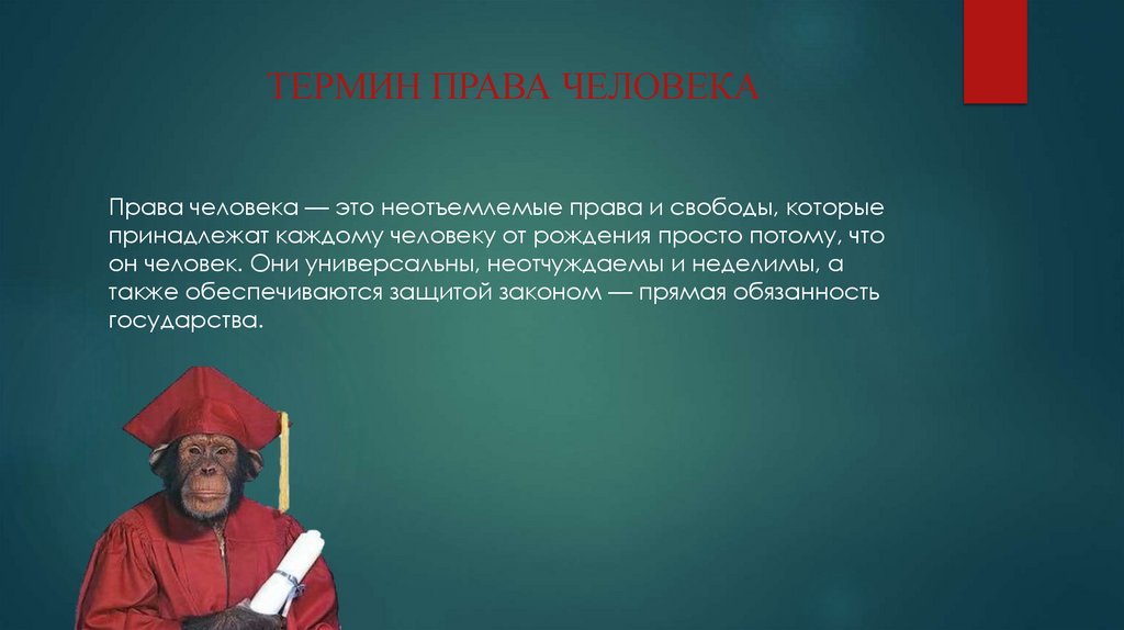 ТЕРМИН ПРАВА ЧЕЛОВЕКА