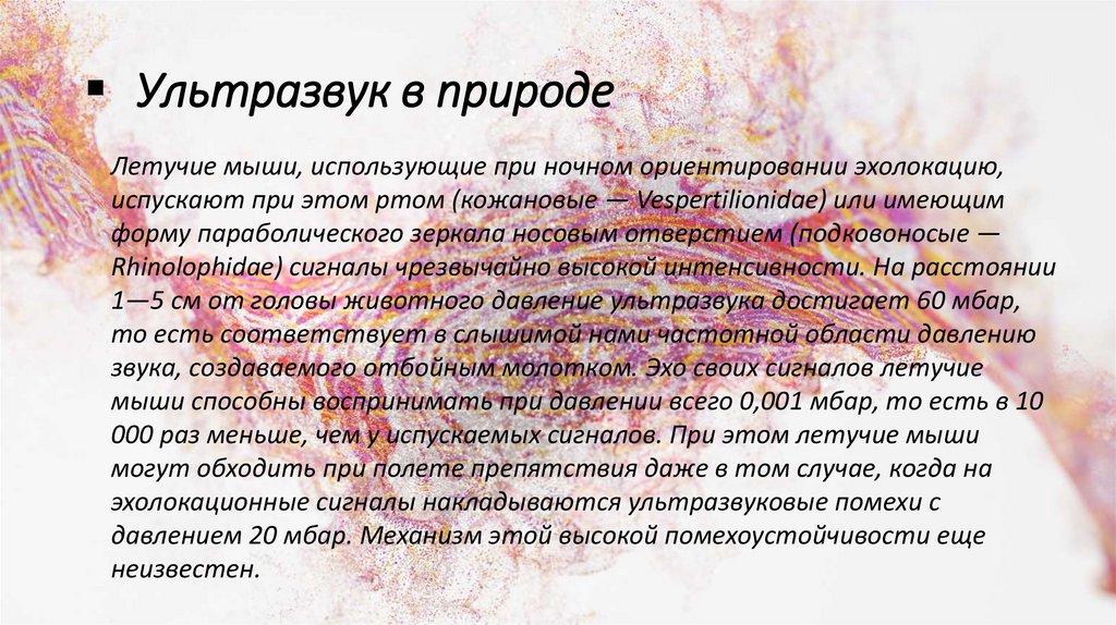 Ультразвук в природе