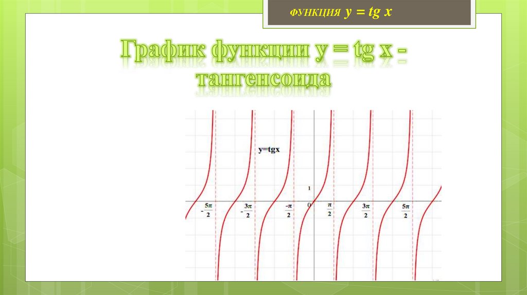 График функции y = tg x - тангенсоида