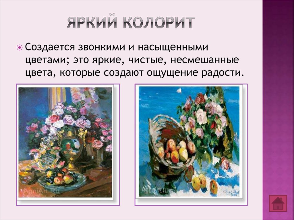 Яркий колорит