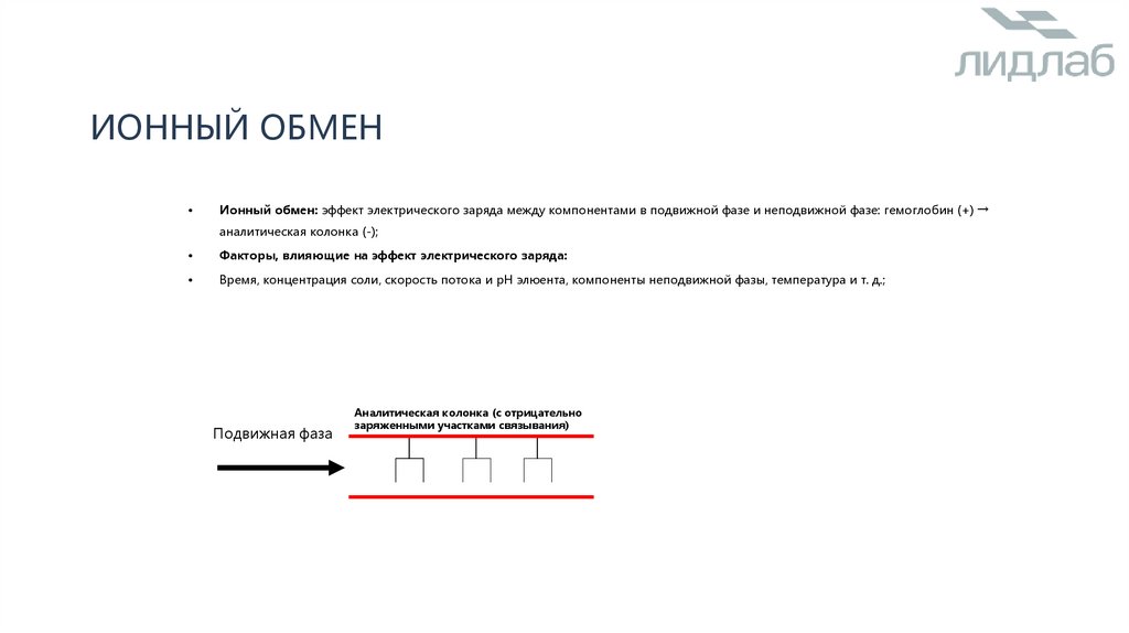 Ионный обмен