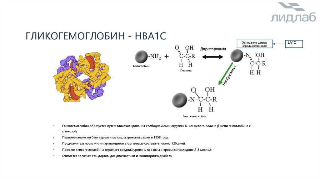 Гликогемоглобин - HbA1c