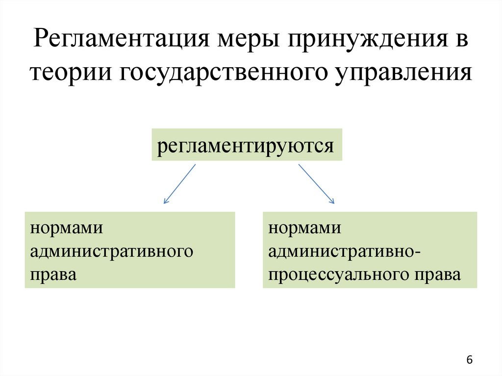 Регламентация меры принуждения в теории государственного управления