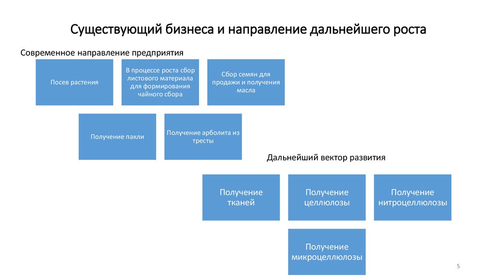 Существующий бизнеса и направление дальнейшего роста