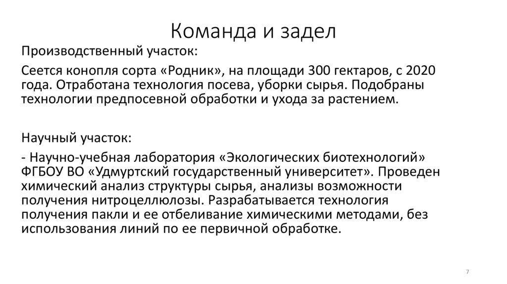 Команда и задел