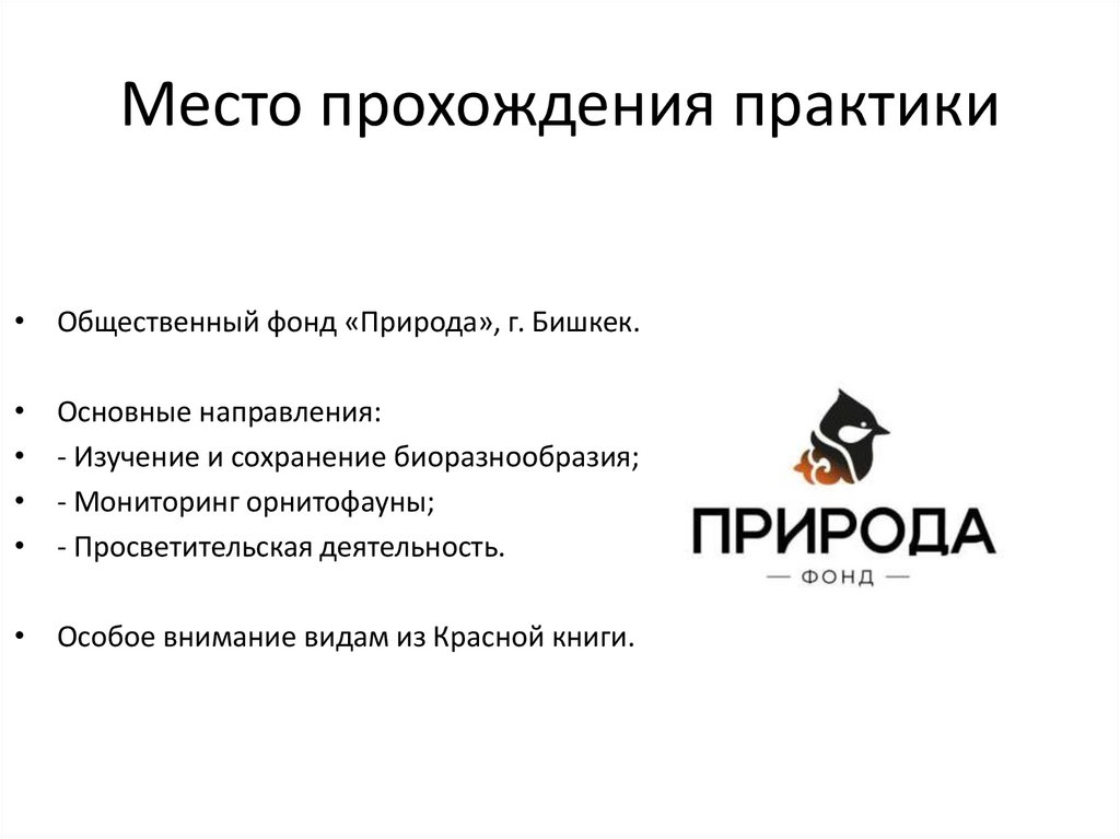 Место прохождения практики