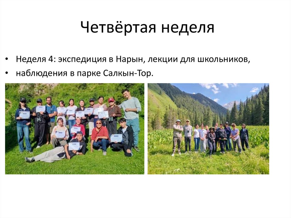 Четвёртая неделя