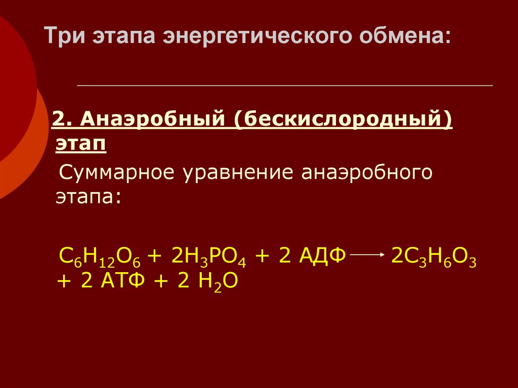Три этапа энергетического обмена: