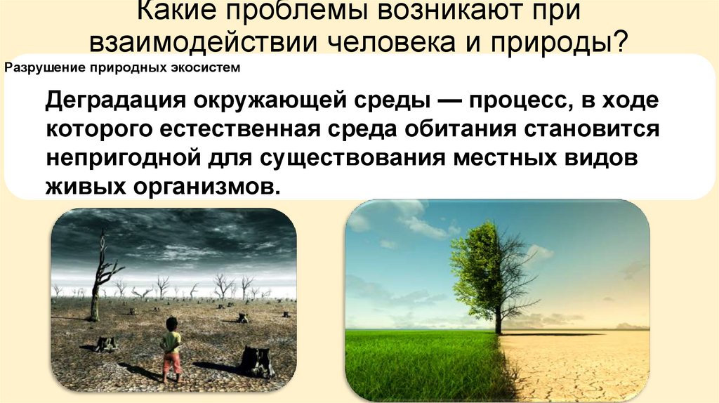 Какие проблемы возникают при взаимодействии человека и природы?